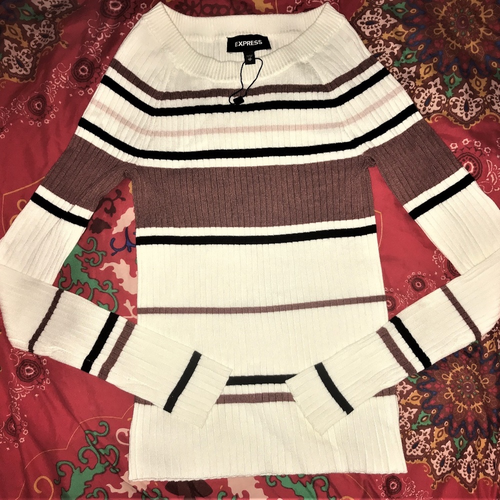 Express Fitted Crew Neck Sweater